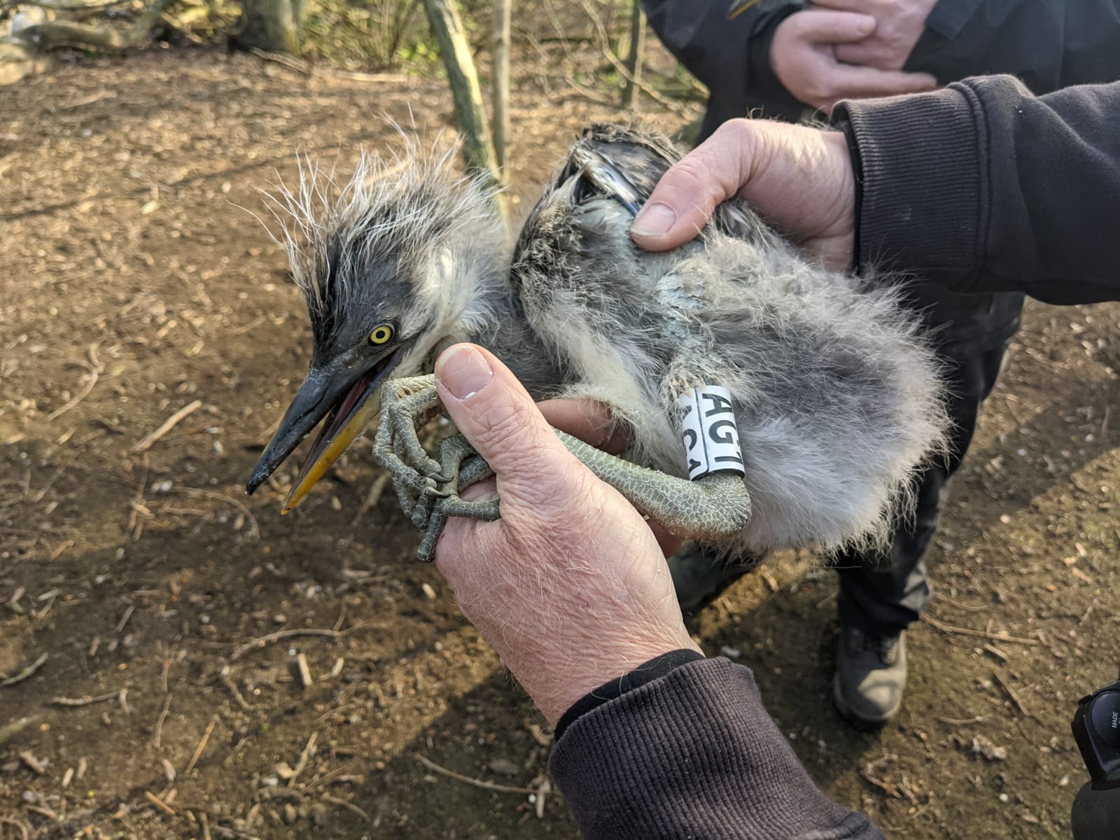 PHOTO 2021 03 24 13 08 34